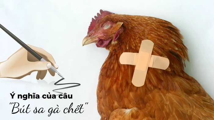 but-sa-ga-chet-VOH