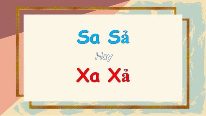 sa-sa-hay-xa-xa-800×450