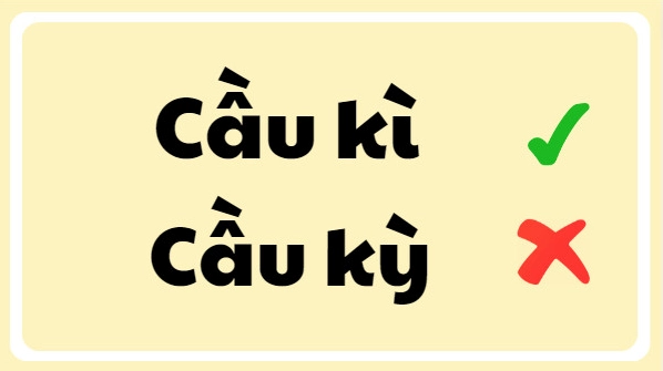cau-ki-hay-cau-ky-dung-chinh-ta-cach-viet-chuan-de-nho_158