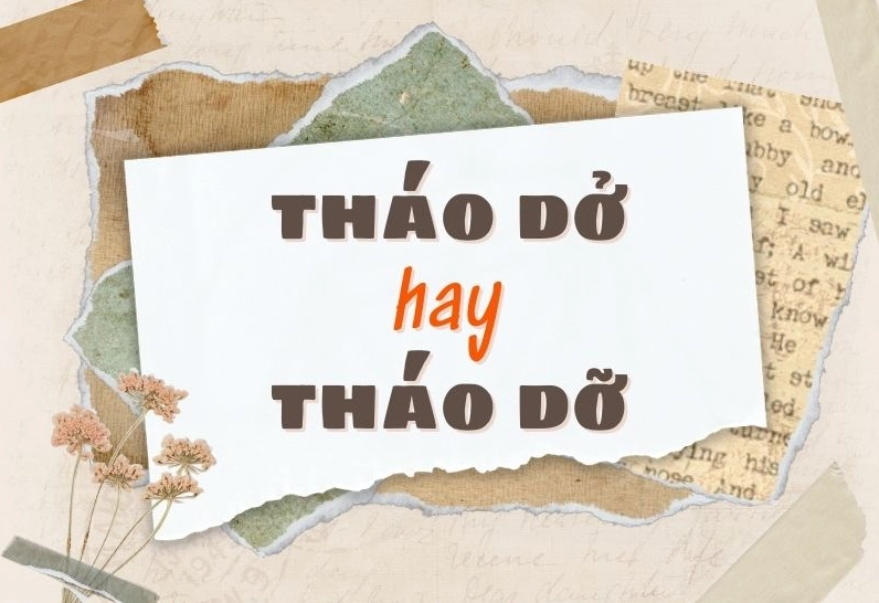 thao-do-hay-thao-do-dung-chinh-ta-cach-phan-biet-chuan-xac-n_724