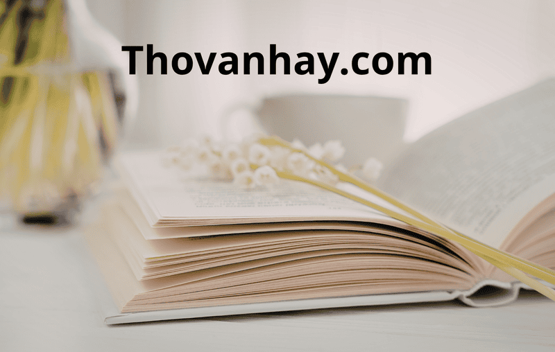 thovanhay.com