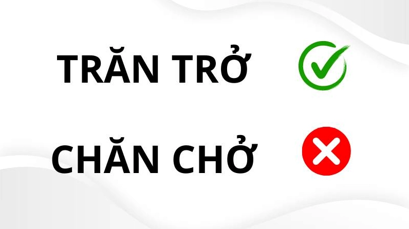 tran-tro-hay-chan-cho-dung-chinh-ta-dap-an-de-nho-nhat_693