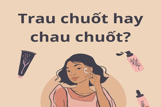 trau-chuot-hay-chau-chuot_846