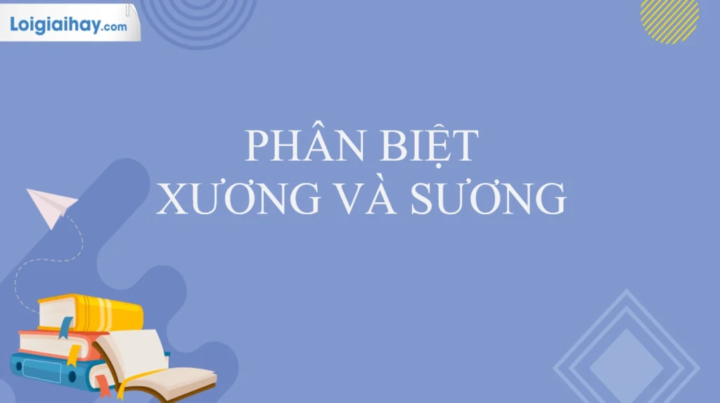 bo-suong-hay-bo-xuong-dung-chinh-ta-phan-tich-tu-chuan-2026_854