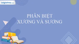 bo-suong-hay-bo-xuong-dung-chinh-ta-phan-tich-tu-chuan-2026_854