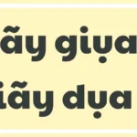 giay-dua-hay-giay-giua-dung-chinh-ta-phan-tich-chuan-hoc-thu_405