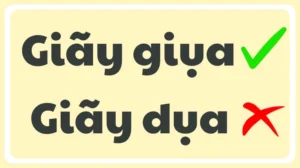 giay-dua-hay-giay-giua-dung-chinh-ta-phan-tich-chuan-hoc-thu_405