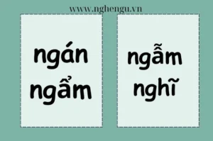 ngan-ngam-hay-ngan-ngam-dung-chinh-ta-phan-tich-chuan-2026_184