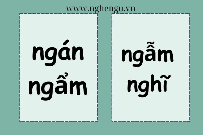 ngan-ngam-hay-ngan-ngam-dung-chinh-ta-phan-tich-chuan-2026_184
