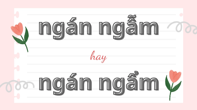 Ngán ngẫm hay ngán ngẩm và cách phân biệt chính tả thường gặp trong tiếng Việt