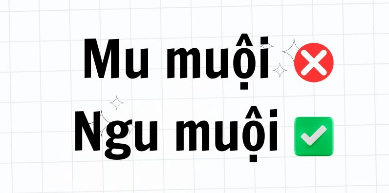 ngu-muoi-hay-mu-muoi-dung-chinh-ta-phan-tich-chuan-tu-nguyen_798
