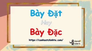 phan-tich-chi-tiet-ngu-nghia-bay-dat-hay-bay-dac_505