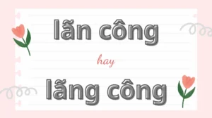 phan-tich-lan-cong-hay-lang-cong-dung-chinh-ta-va-cach-dung-_206