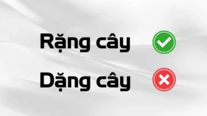 rang-cay-hay-dang-cay_606