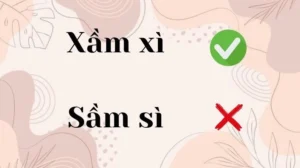 sam-si-hay-xam-xi-dung-chinh-ta-xam-xi-la-tu-dung_997