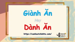 sau-xa-hay-xau-xa-dung-chinh-ta-phan-tich-ngu-phap-chuan-202_480