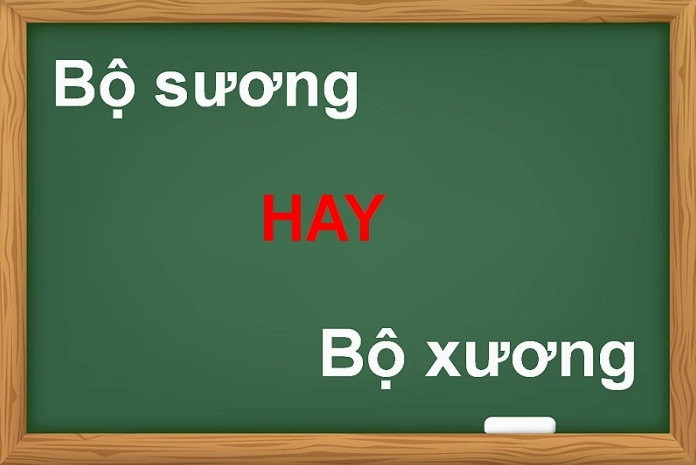Sơ đồ phân tích từ vựng giải đáp Bộ sương hay bộ xương đúng chính tả