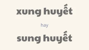 xung-huyet-hay-sung-huyet-va-cach-phan-biet-cac-tu-de-nham-t_256