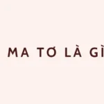 A ma tơ là gì