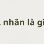 Á nhân là gì