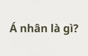 Á nhân là gì