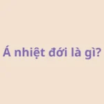 Á nhiệt đới là gì