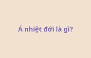 Á nhiệt đới là gì
