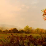 Phân tích chi tiết bài thơ Sang thu