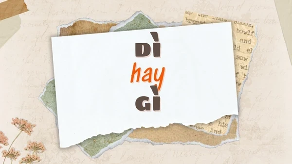 Sự Nhầm Lẫn Phổ Biến Giữa Dì và Gì