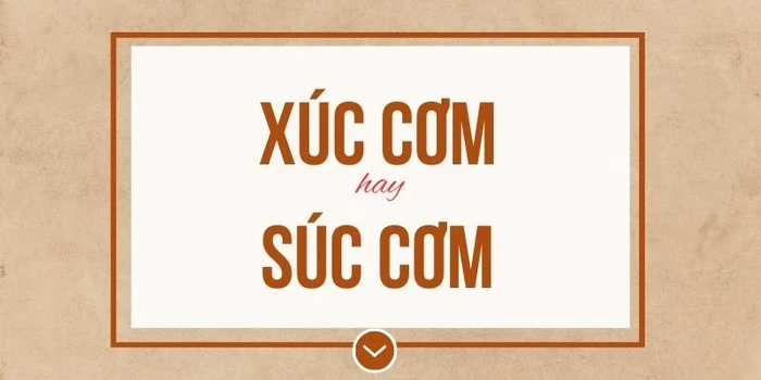 "Súc cơm" – Lỗi sai chính tả phổ biến
