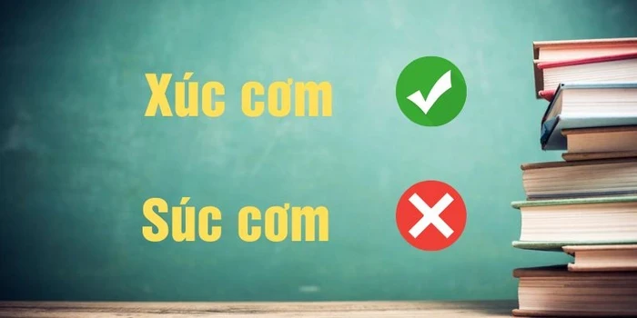 Tầm quan trọng của việc viết đúng chính tả
