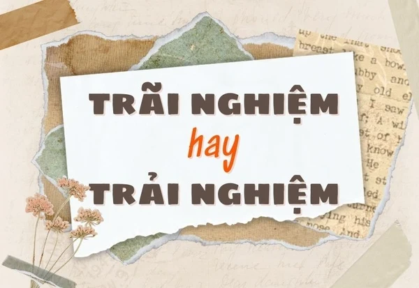 Trải nghiệm hay Trãi nghiệm: Đâu mới là chuẩn chính tả tiếng Việt?