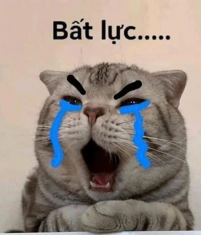 meme-bat-luc-1