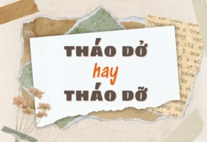 thao-do-hay-thao-do