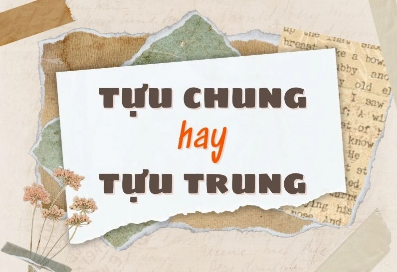 tuu-chung-hay-tuu-trung-dung-chinh-ta-giai-ma-tu-ngu-chuan-x_469