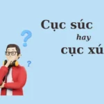 4033e860522fbb71e23e