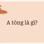 A tòng là gì