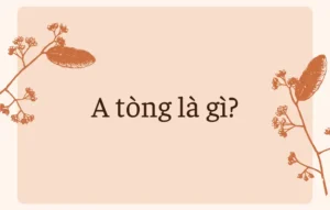 A tòng là gì