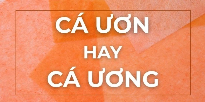 ca-uon-hay-ca-uong-1