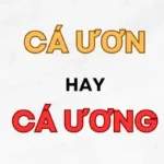 ca-uon-hay-ca-uong