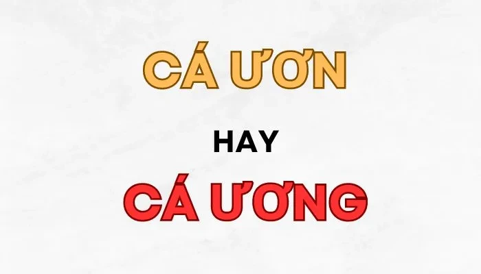 ca-uon-hay-ca-uong