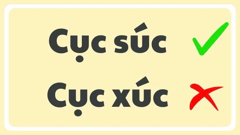 cuc-suc-hay-cuc-suc-1-115329