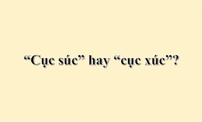 cuc-suc-hay-cuc-suc-1-115450