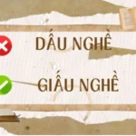 dau-nghe-hay-giau-nghe-chuyen-gia-giai-dap-dung-chinh-ta-va-_177