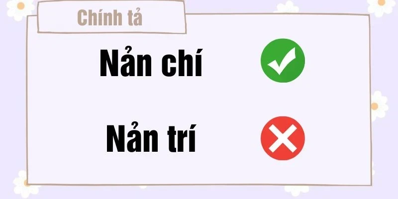 nan-chi-hay-nan-tri (1)