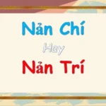 nan-chi-hay-nan-tri