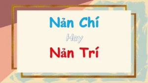nan-chi-hay-nan-tri